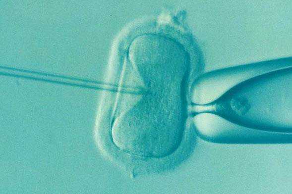 子宫内膜异位症可以代孕吗_代孕的过程需要多久_二代试管婴儿养囊胚成功率